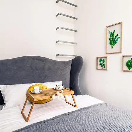 Srodmiescie - Location, Tram&park Nearby - By Rentujemy